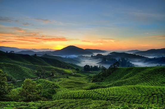 Cameron Highlands, Malezja