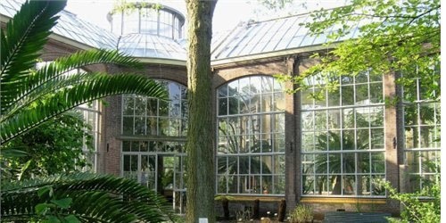 Ogród botaniczny w Amsterdamie